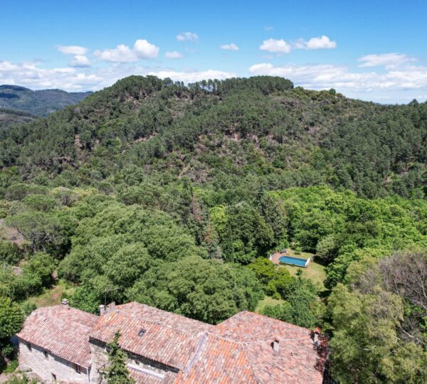 Superb Cévennes farmhouse with swimming pool