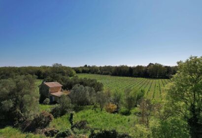 Charming Mazet in the heart of unspoilt countryside