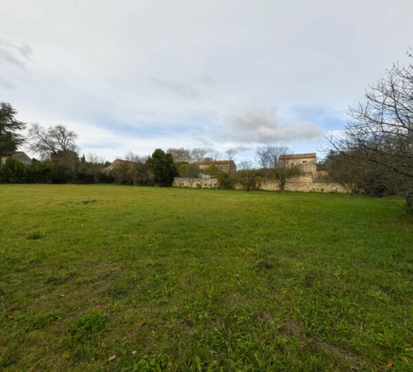 Grand et beau terrain plat constructible
