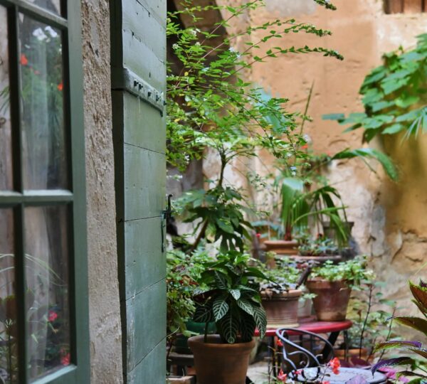 Petit appartement au coeur d'Uzès